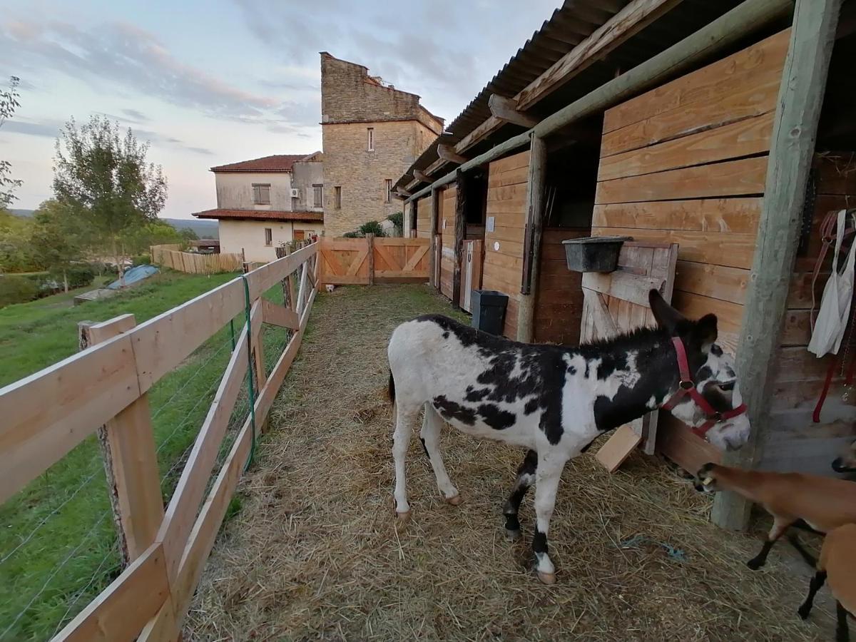 Villa Les Hauts Vallons Puylaroque エクステリア 写真