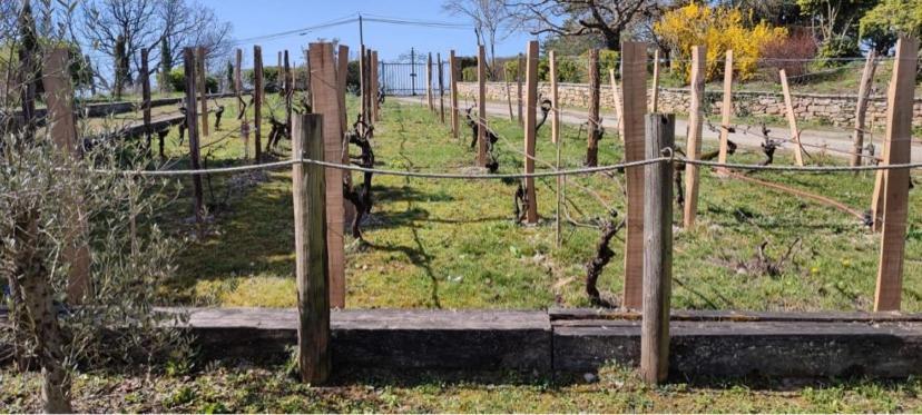 Villa Les Hauts Vallons Puylaroque エクステリア 写真